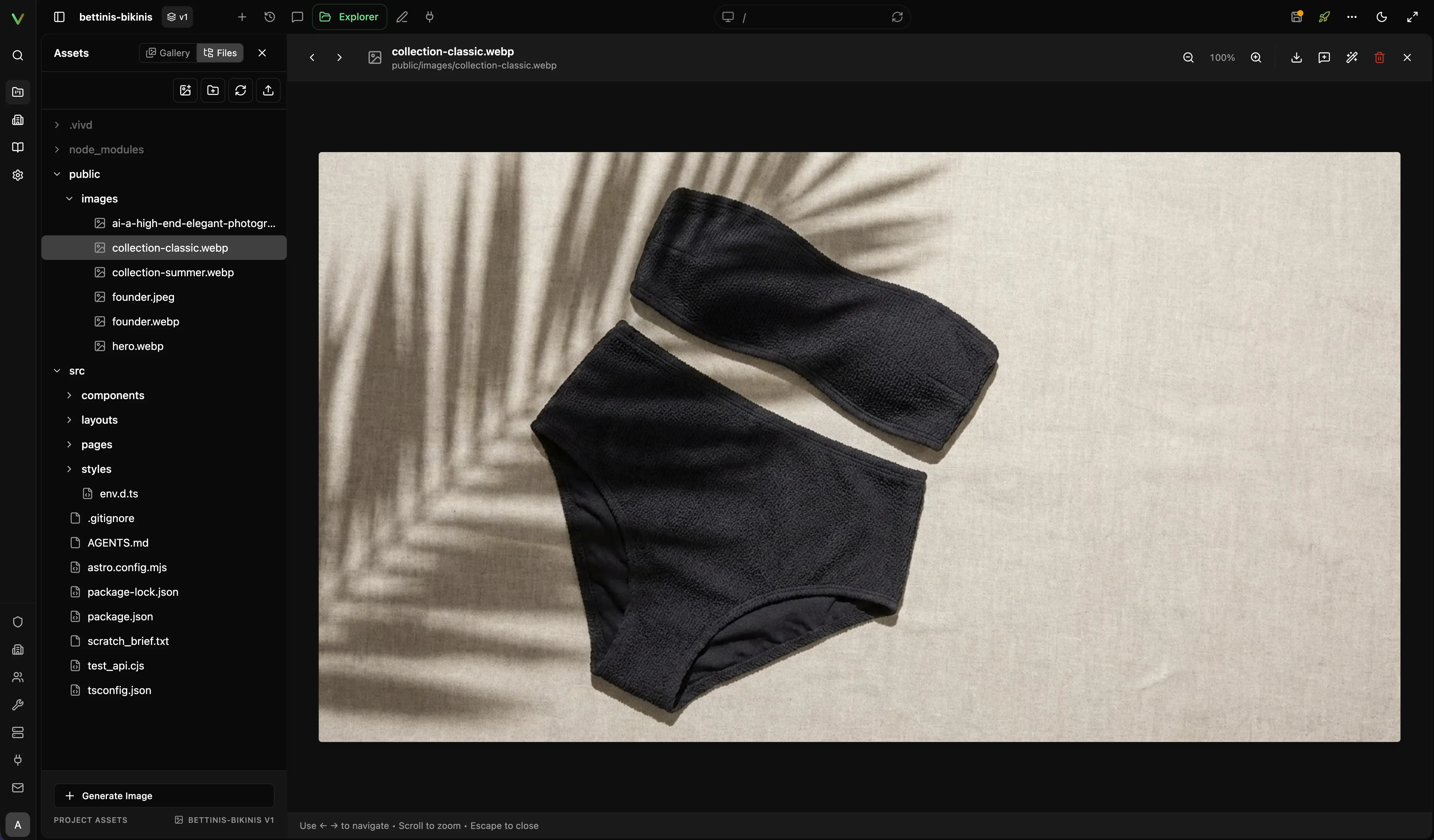 Vivd asset and file explorer with a project image open in the main panel.