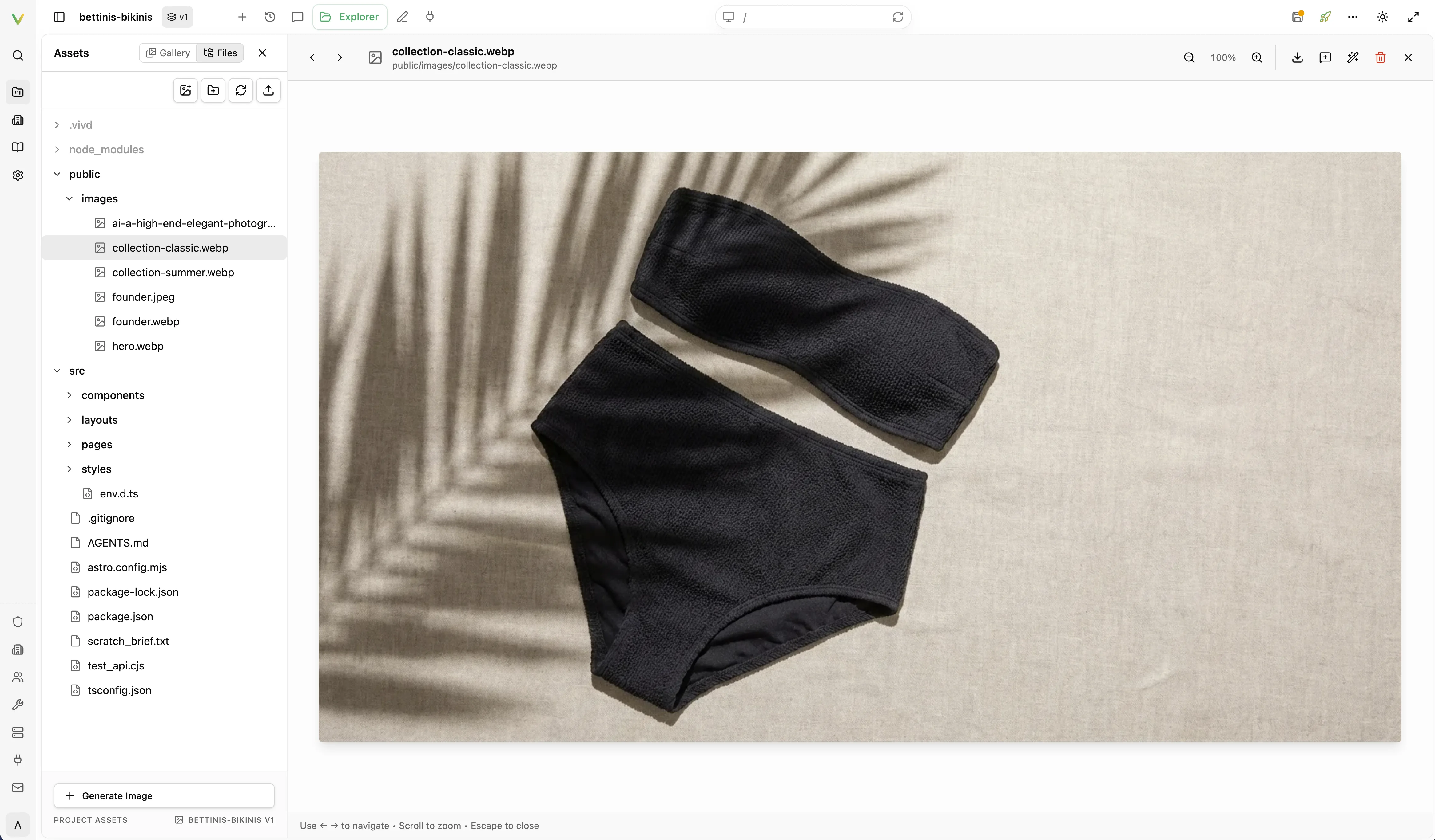 Vivd asset and file explorer with a project image open in the main panel.